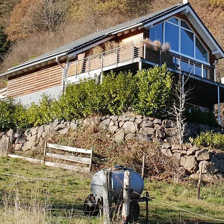 River Mosel Holiday Homes, Meerfeld Studio With A Lake View Zewnętrze zdjęcie